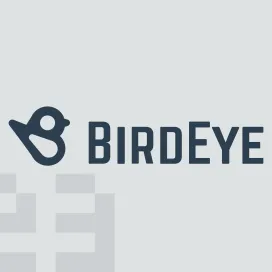 Birdeye